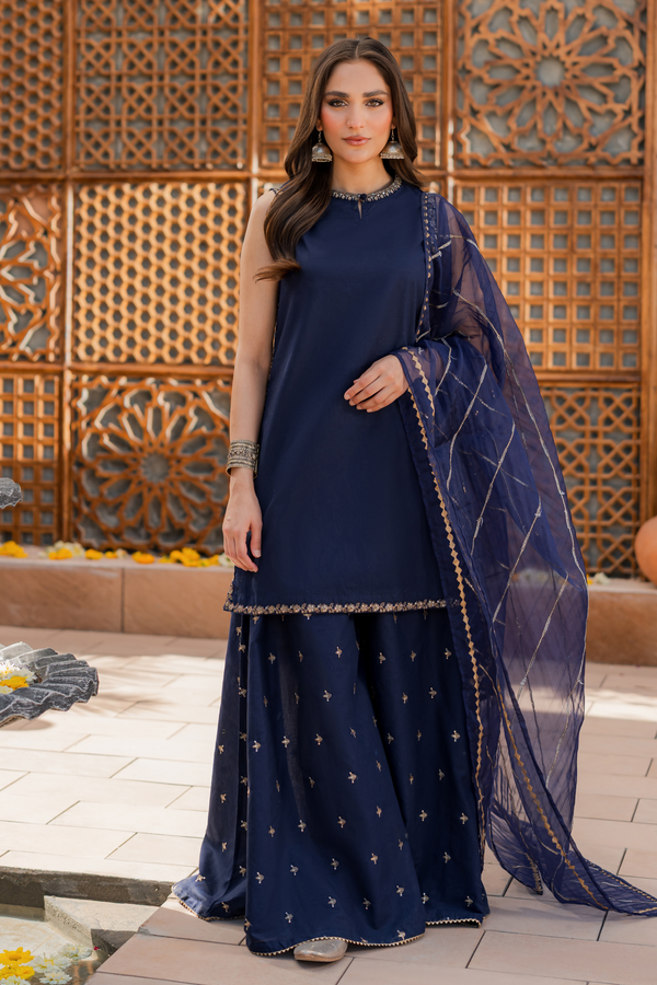 Dhanak -3PC Embroidered Shirt With Organza Embroidered Dupatta-3354