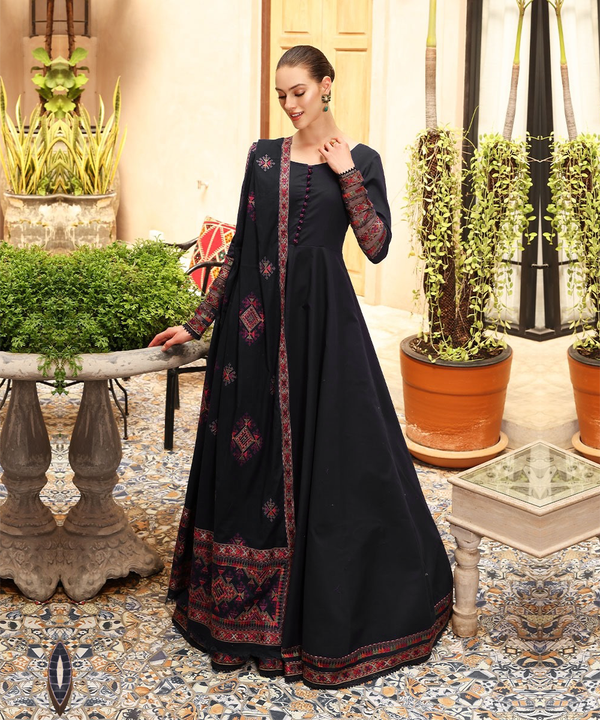 Dhanak 3PC Embroidered With Dhanak Shawl Embroidered-132